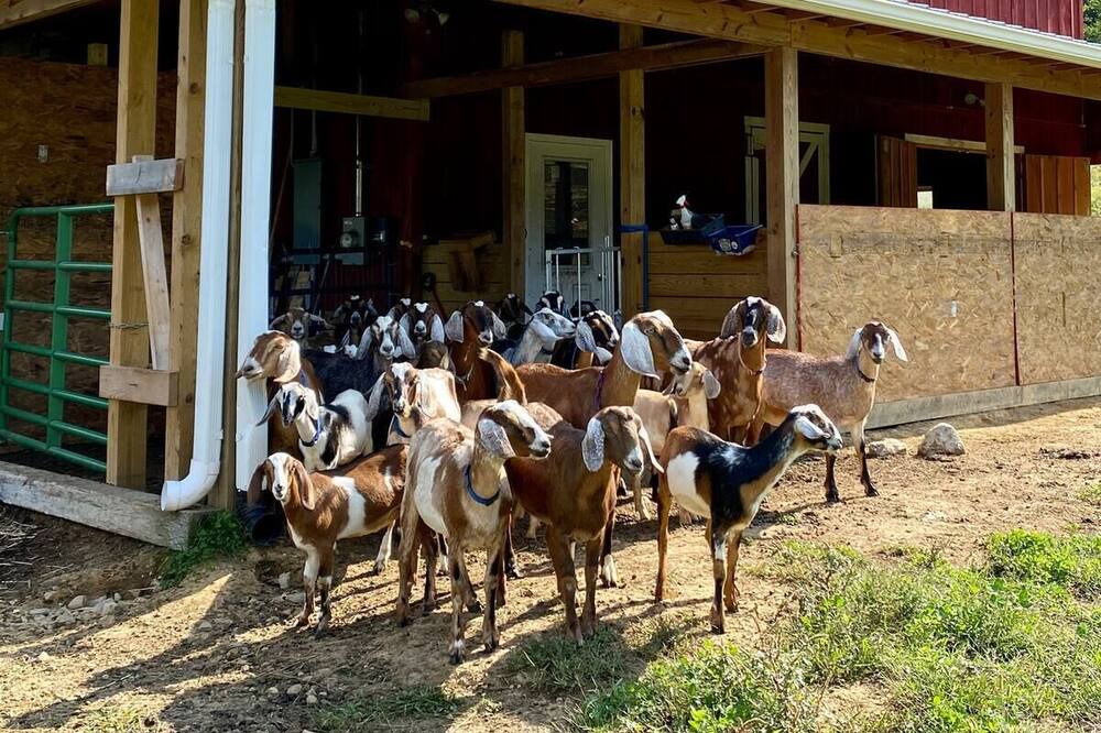 Photo of Others in Harper