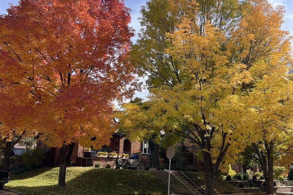 Photo of Outdoor in Washington Park