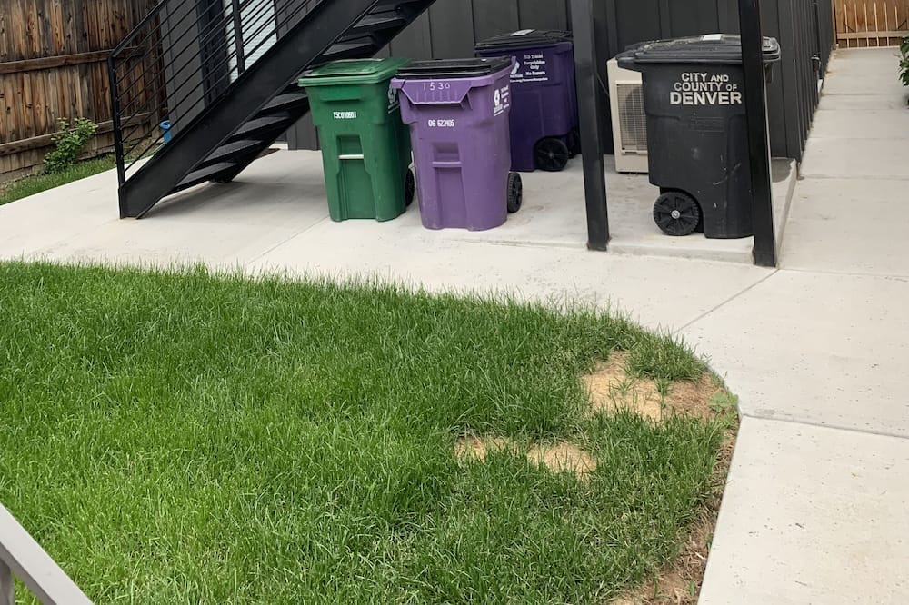 Photo of Others in West Colfax