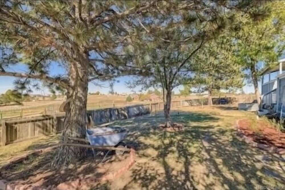 Photo of Outdoor in Parker