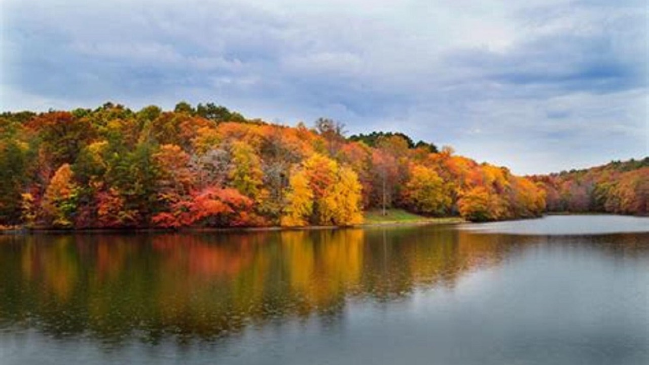 Photo of Outdoor in Altamont