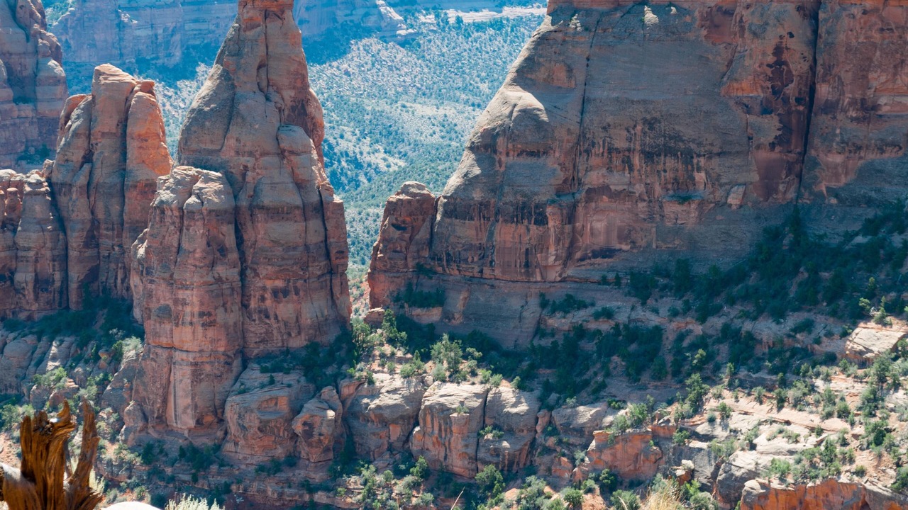 Photo of Outdoor in Fruita