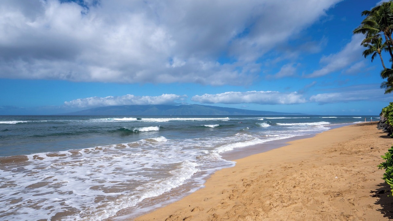 Photo of Others in Honokowai