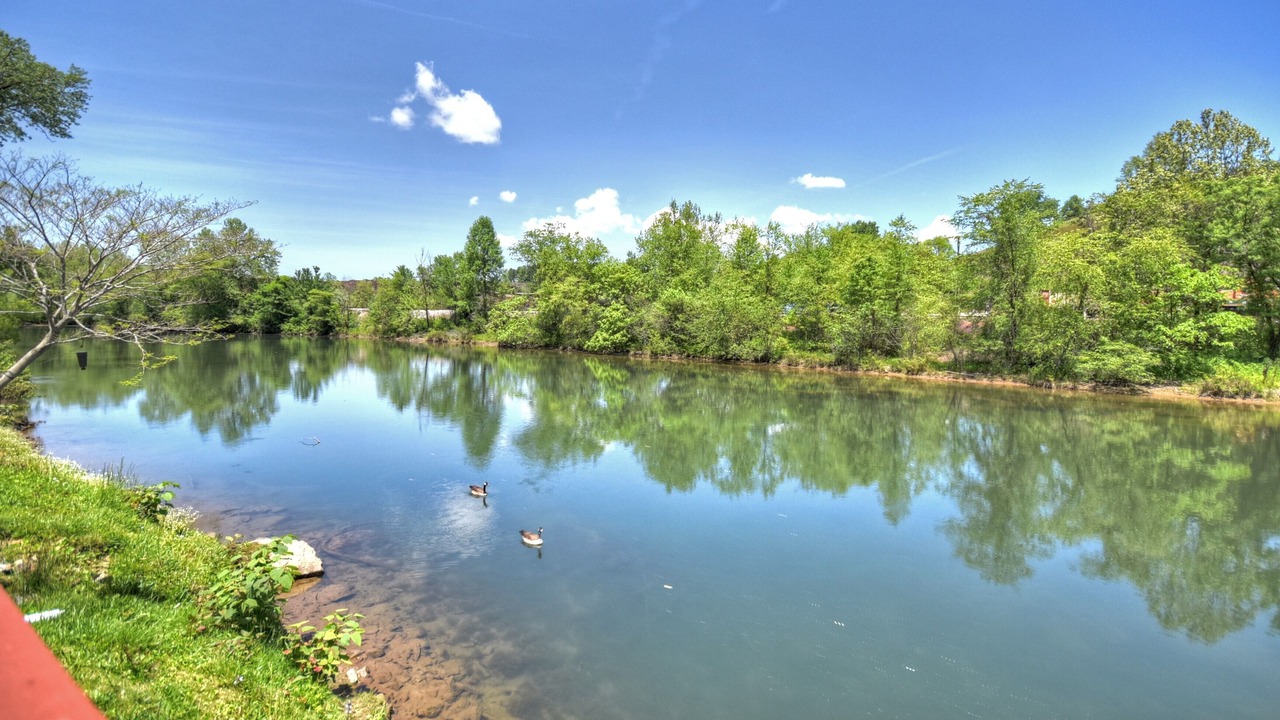 Photo of Outdoor in Copperhill