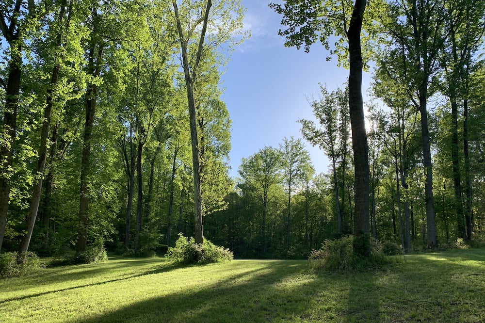 Photo of Outdoor in Washington
