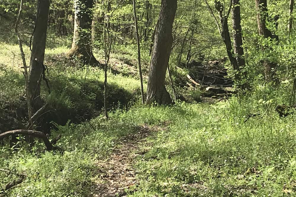 Photo of Outdoor in Washington