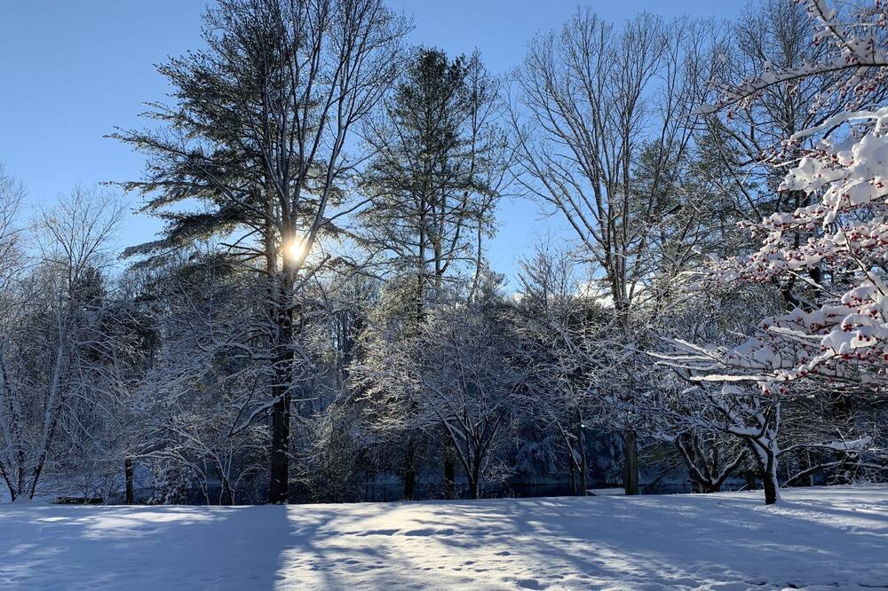 Photo of Outdoor in Washington