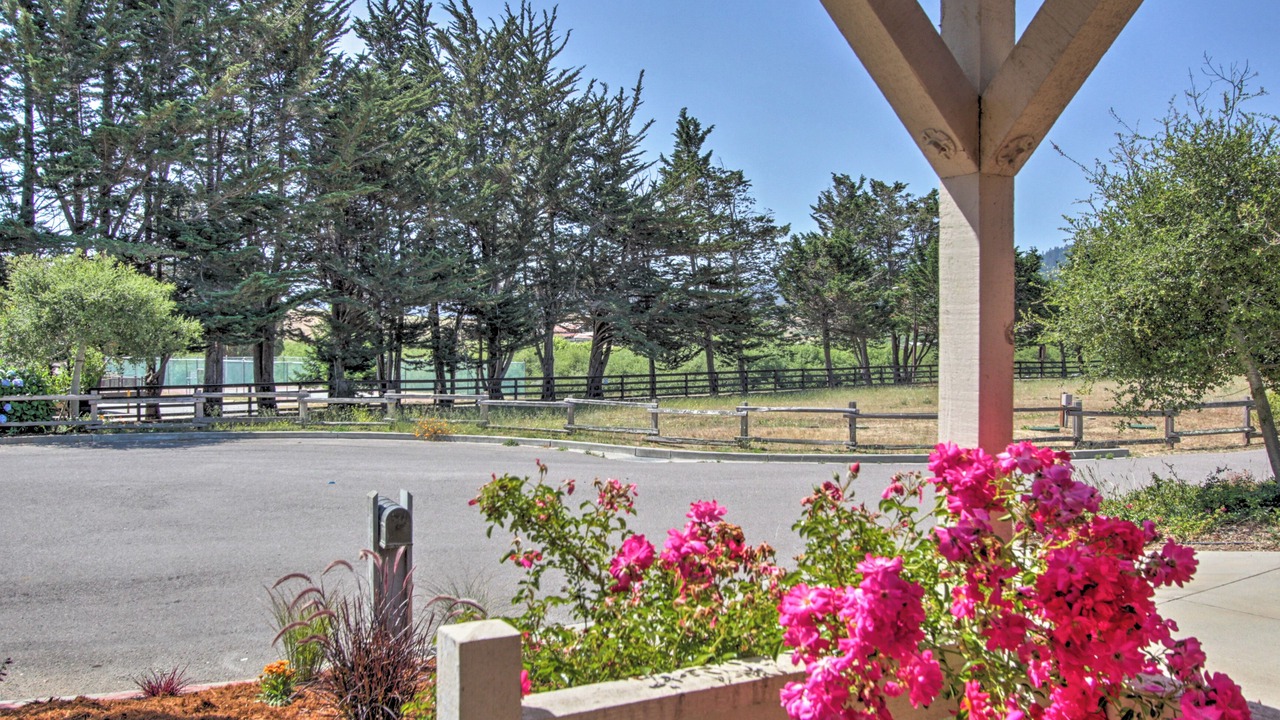 Photo of Others in Point Reyes Station