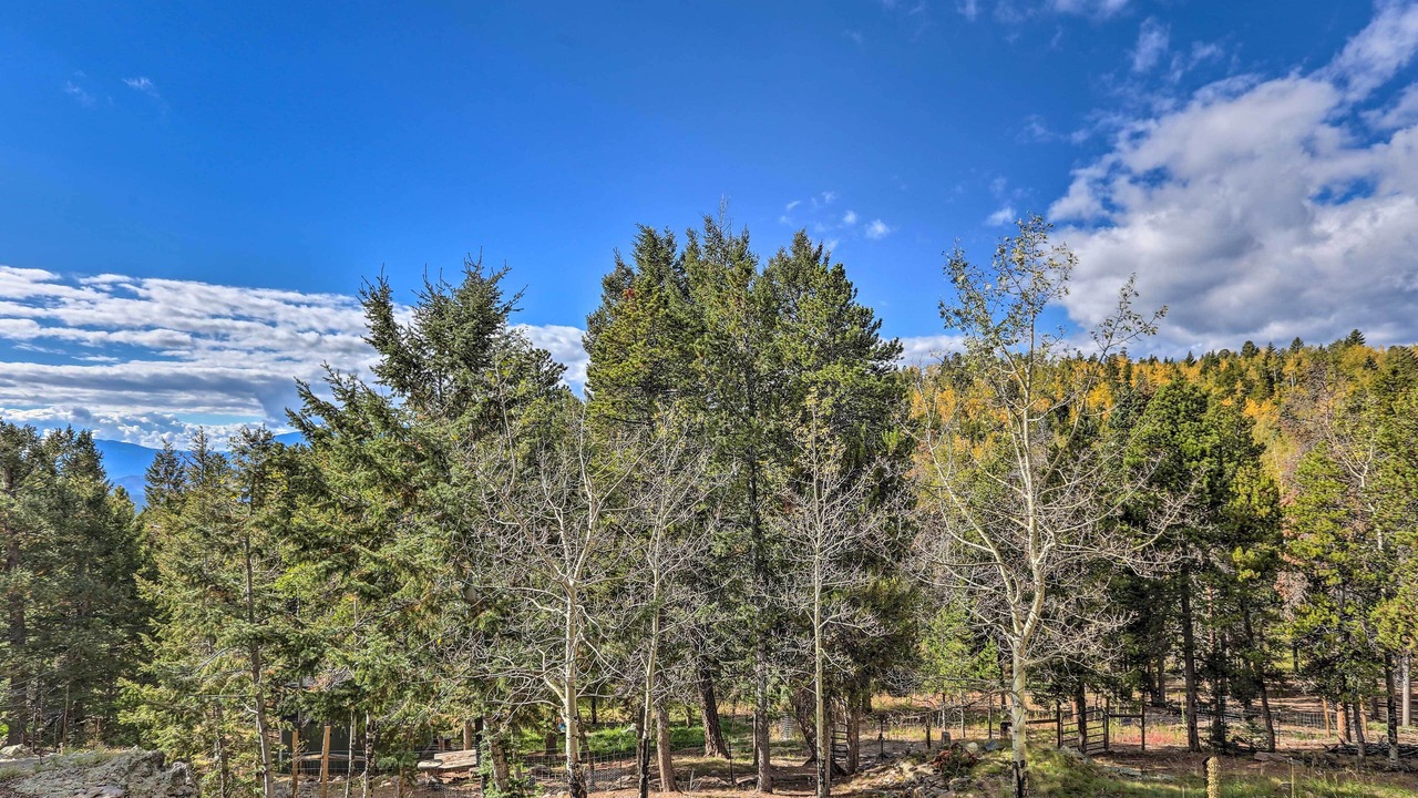 Photo of Others in Conifer Mountain and Meadows