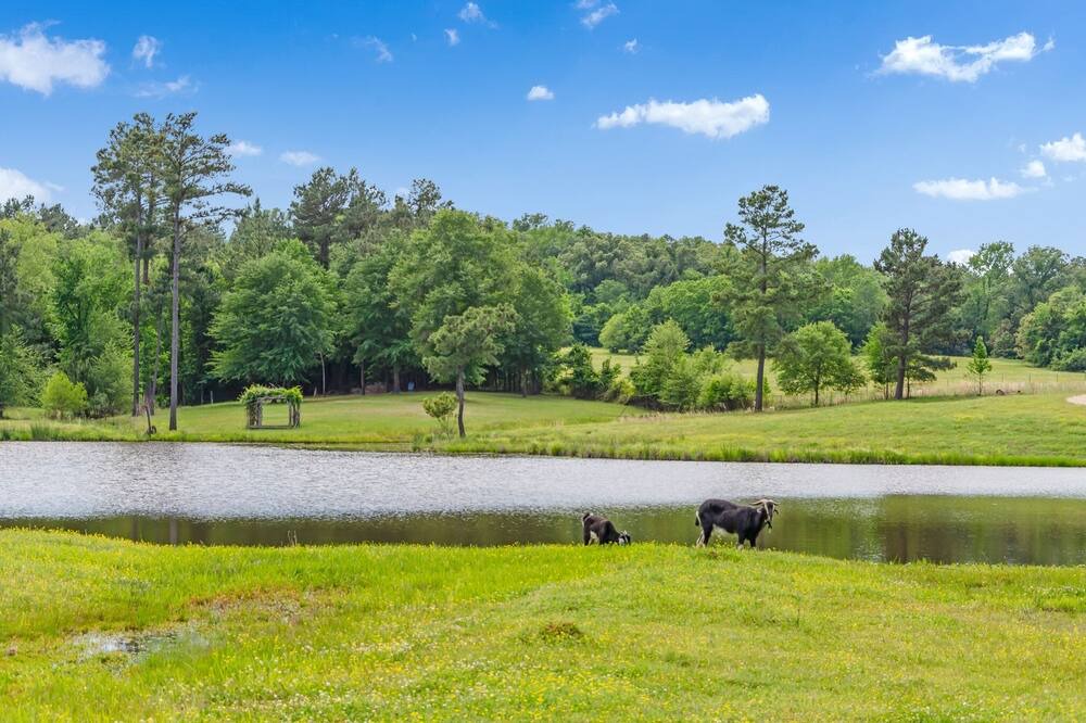 Photo of Others in Tyler