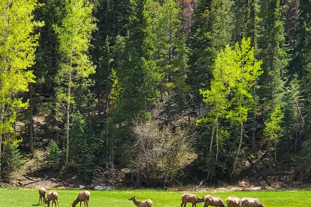 Photo of Others in Shadow Mountain