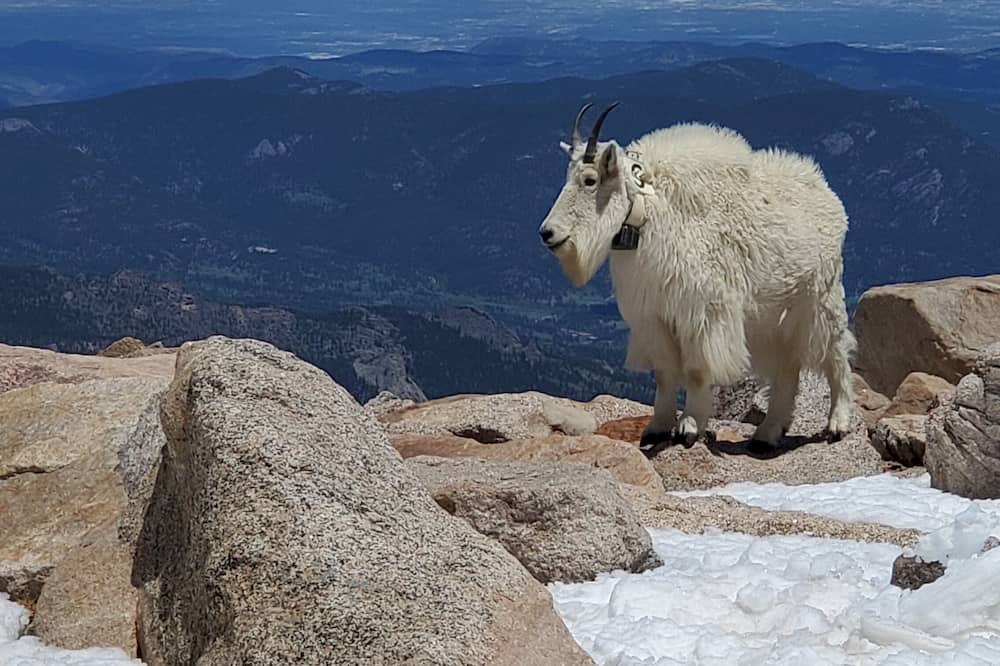 Photo of Others in Shadow Mountain