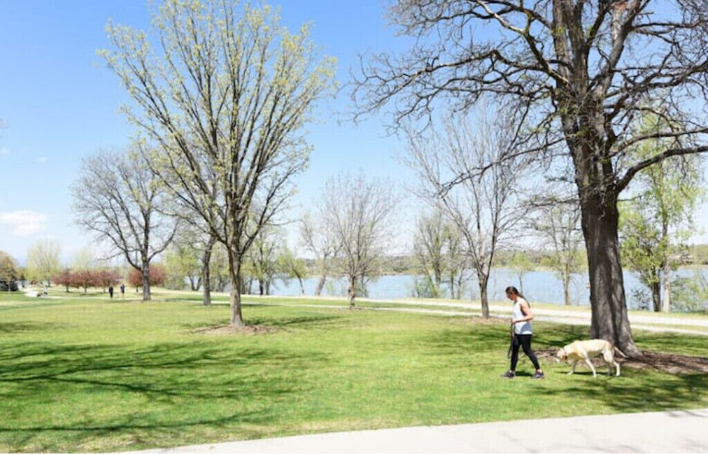 Photo of Others in Sloan Lake