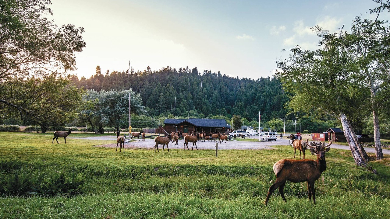 Photo of Outdoor in Orick