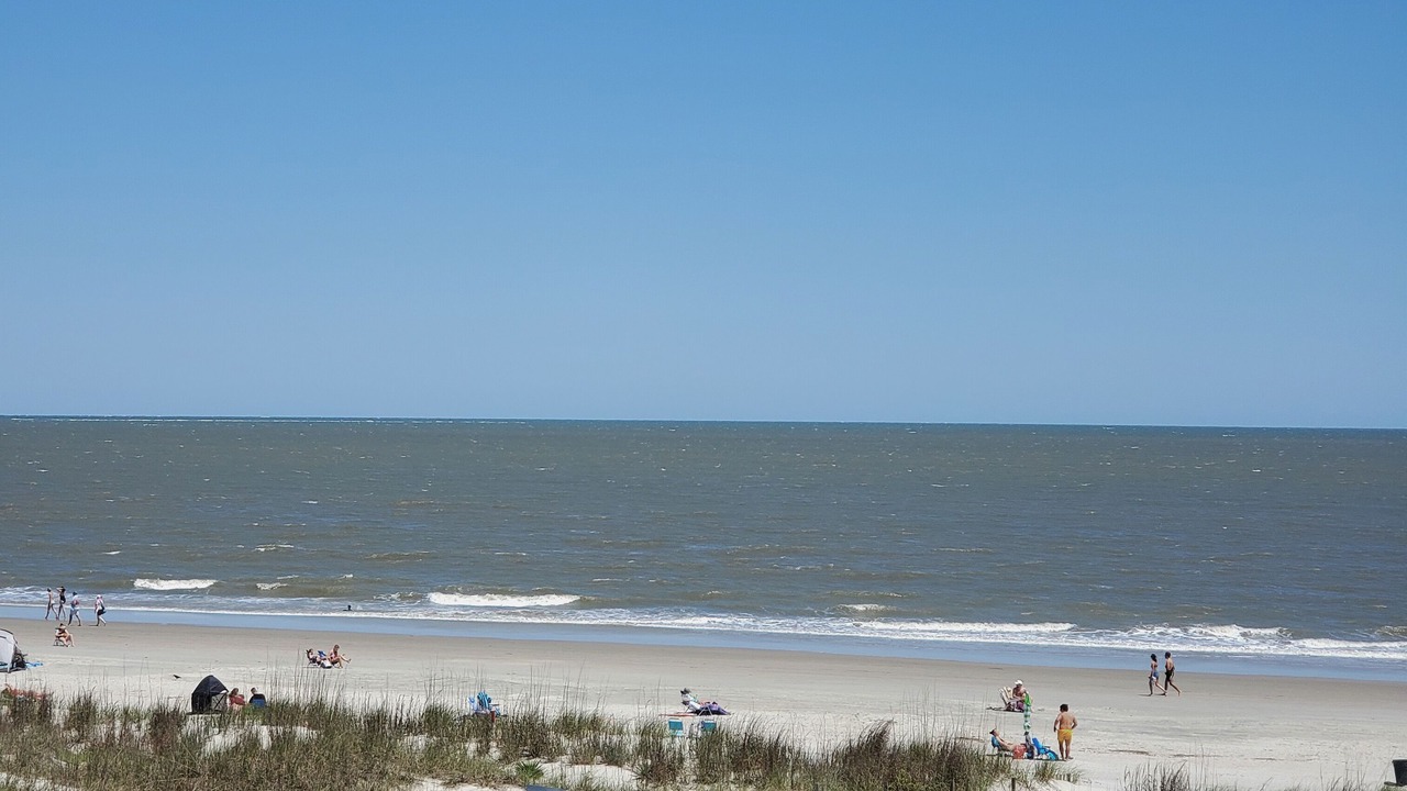 Photo of Others in Folly Field