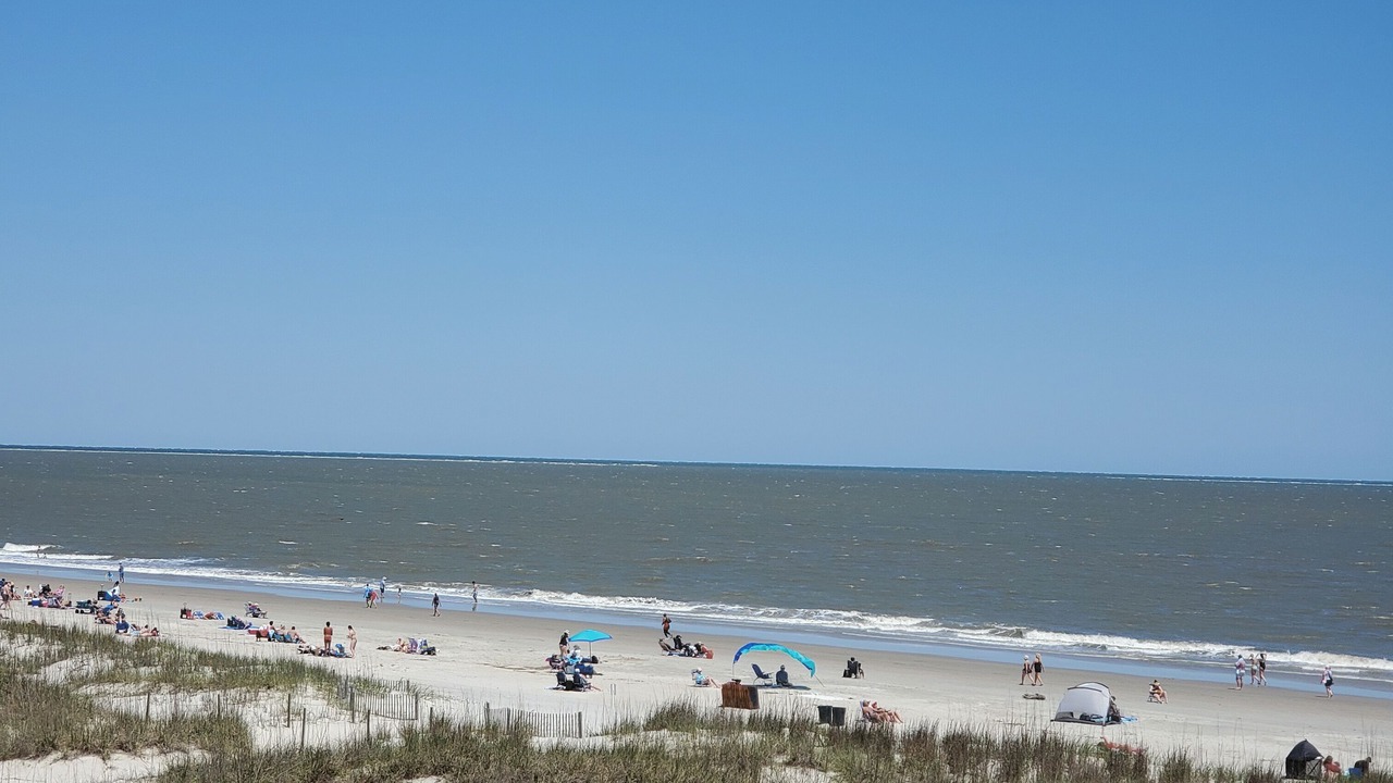 Photo of Others in Folly Field
