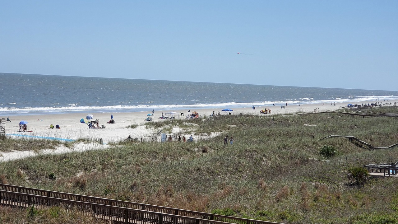 Photo of Others in Folly Field