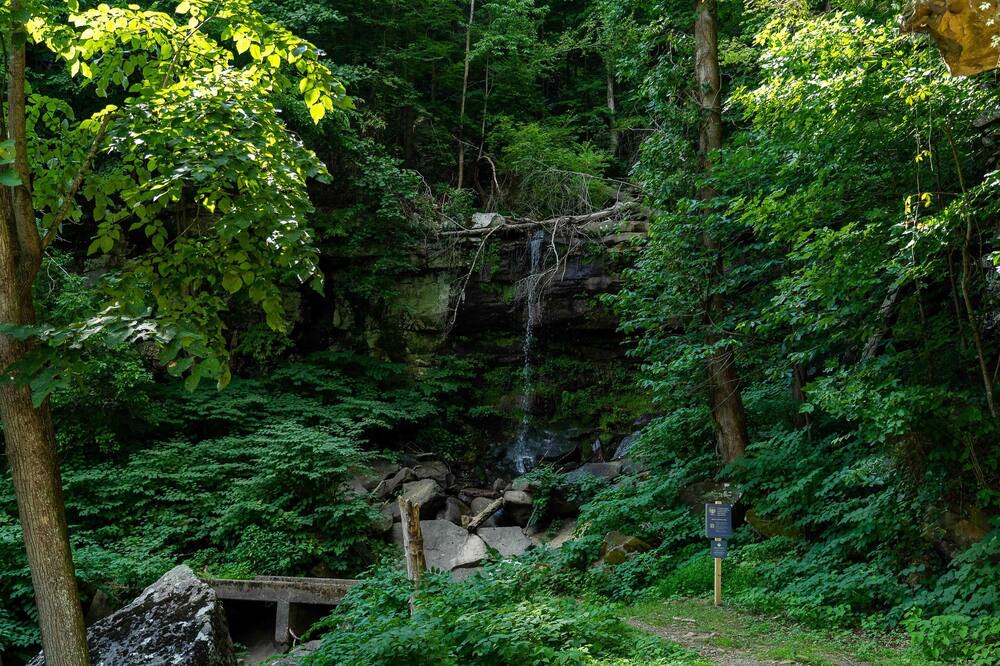 Photo of Others in Ansted