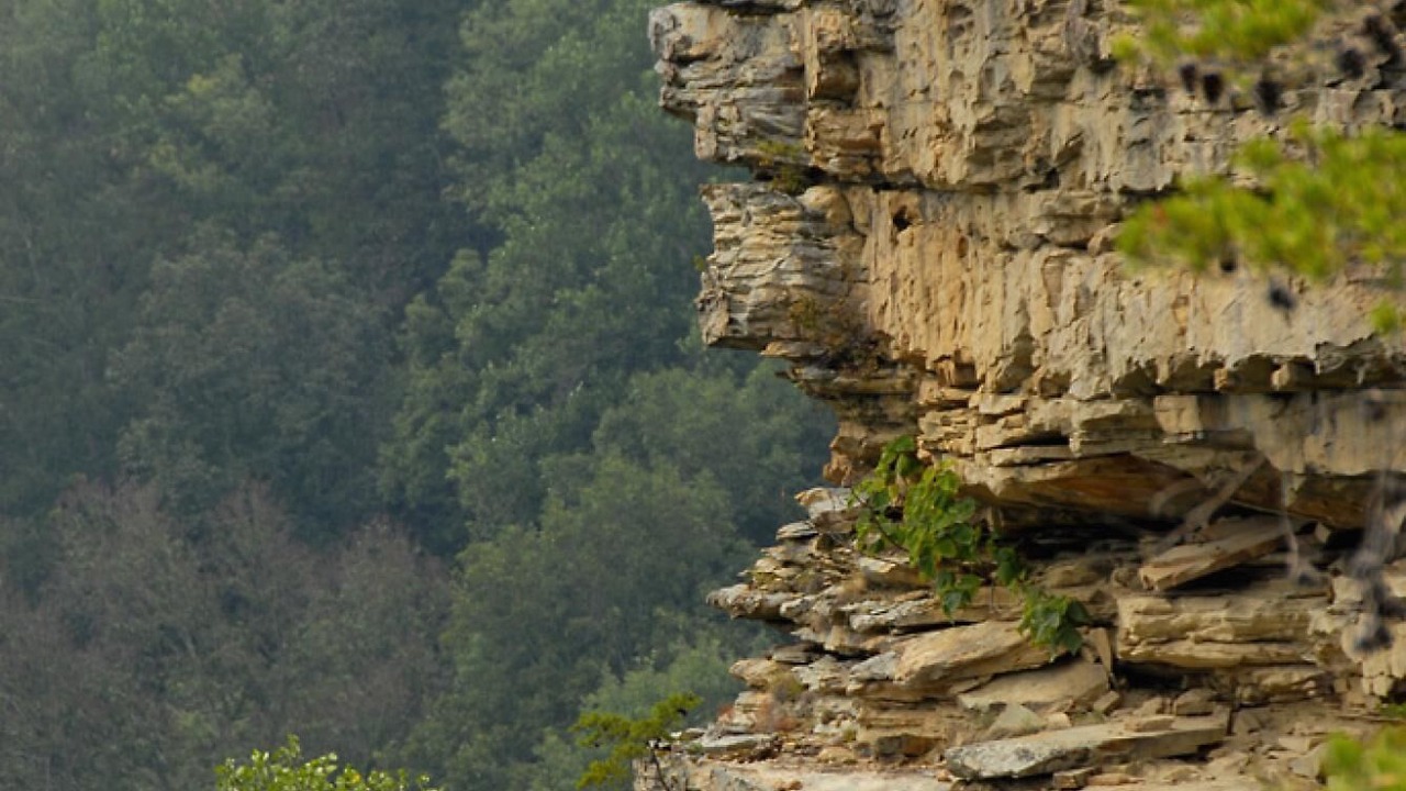 Photo of Others in Altamont