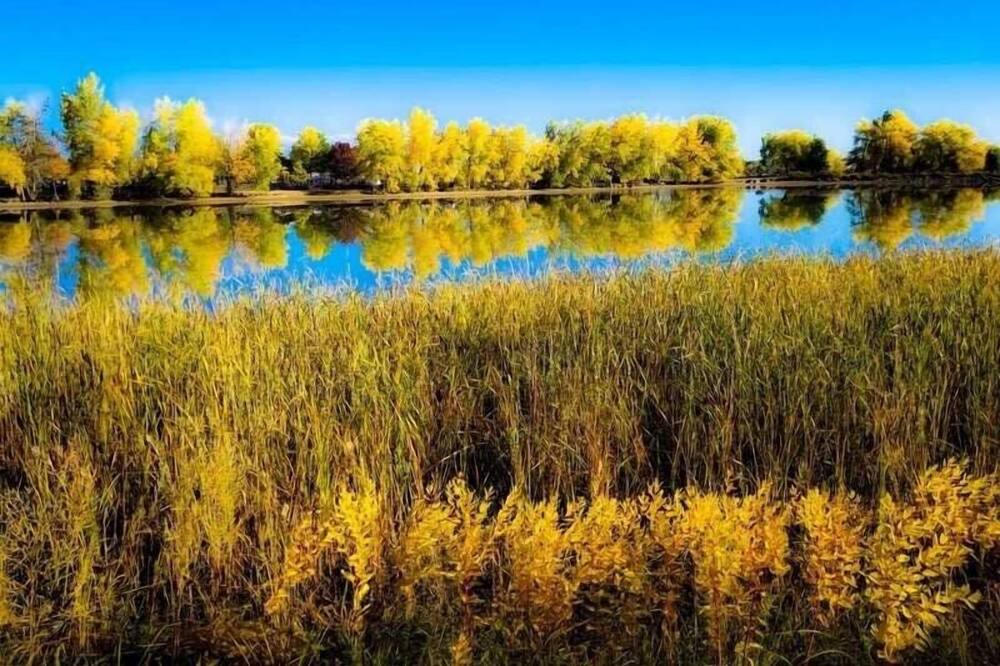 Photo of Others in Gunbarrel