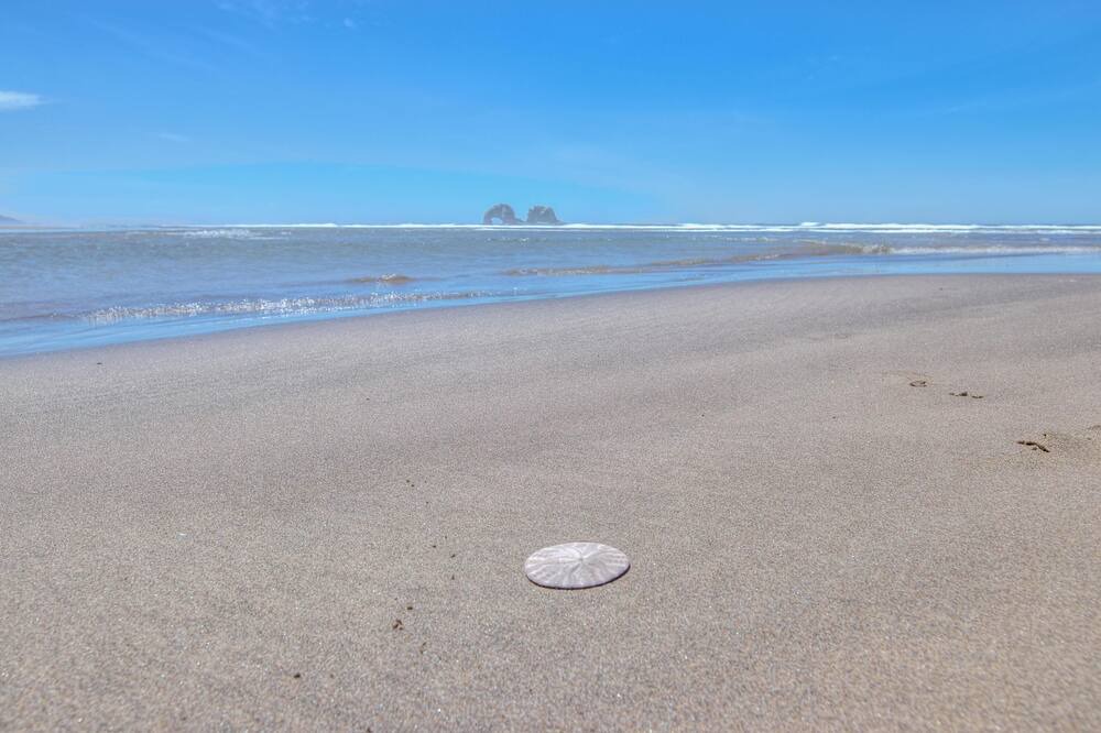Photo of Others in Rockaway Beach