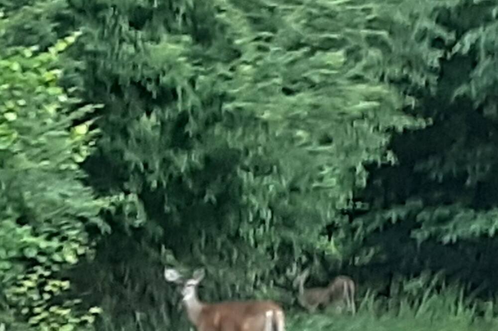 Photo of Others in Lawrence County