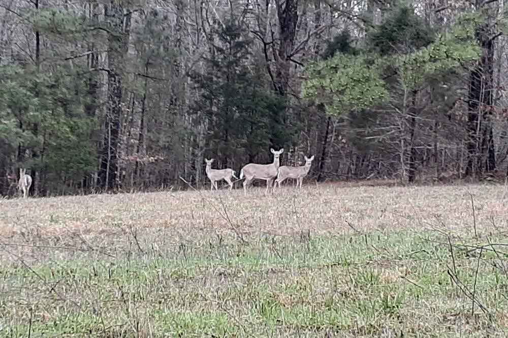 Photo of Others in Lawrence County