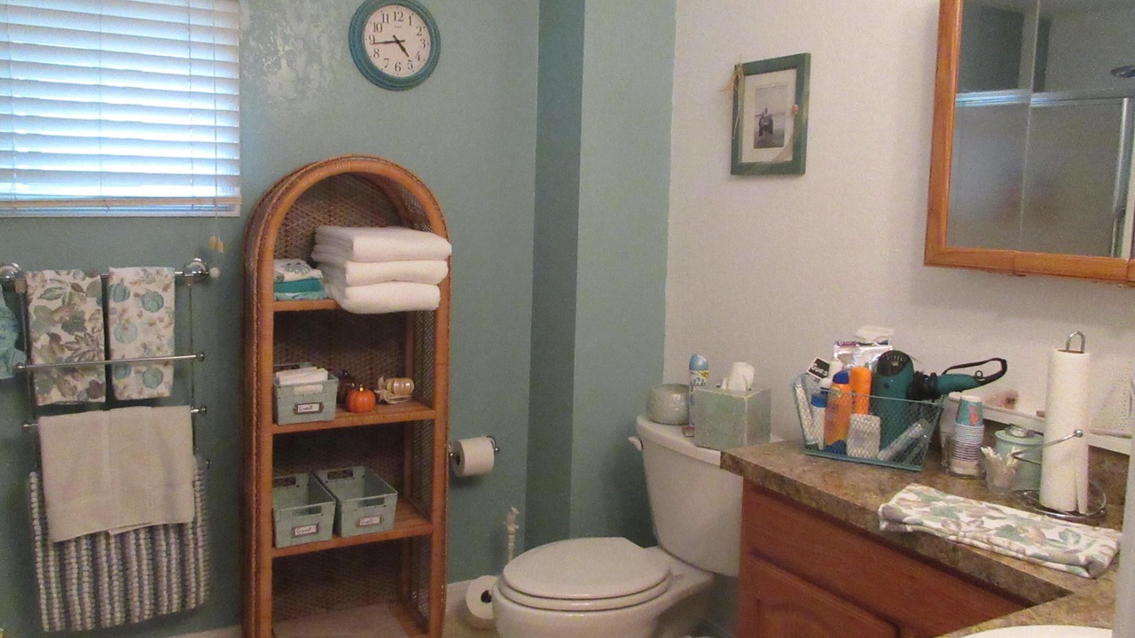 Photo of Bathroom in Toledo