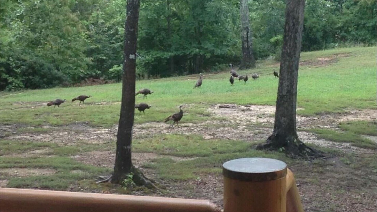 Photo of Outdoor in Spencer