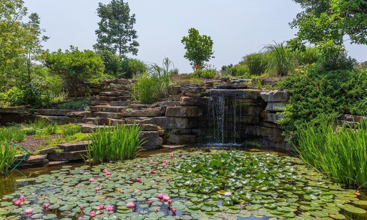 Photo of Outdoor in Berrien Springs