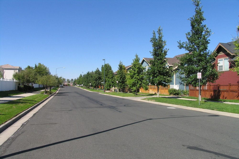 Photo of Others in North Central Westminster
