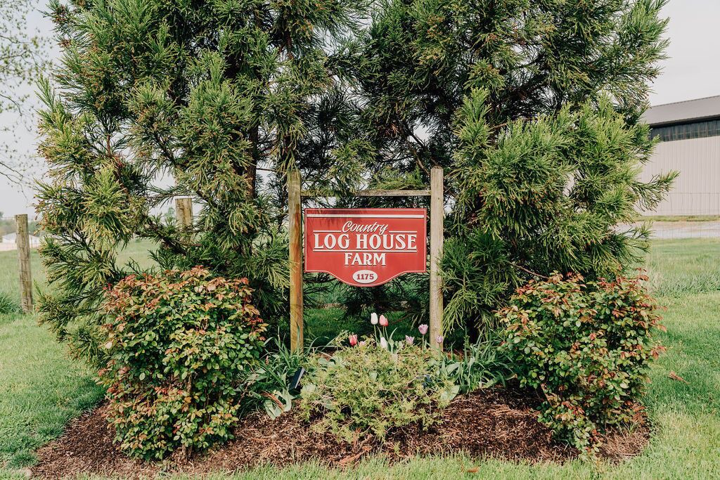 Photo of Outdoor in Mount Joy