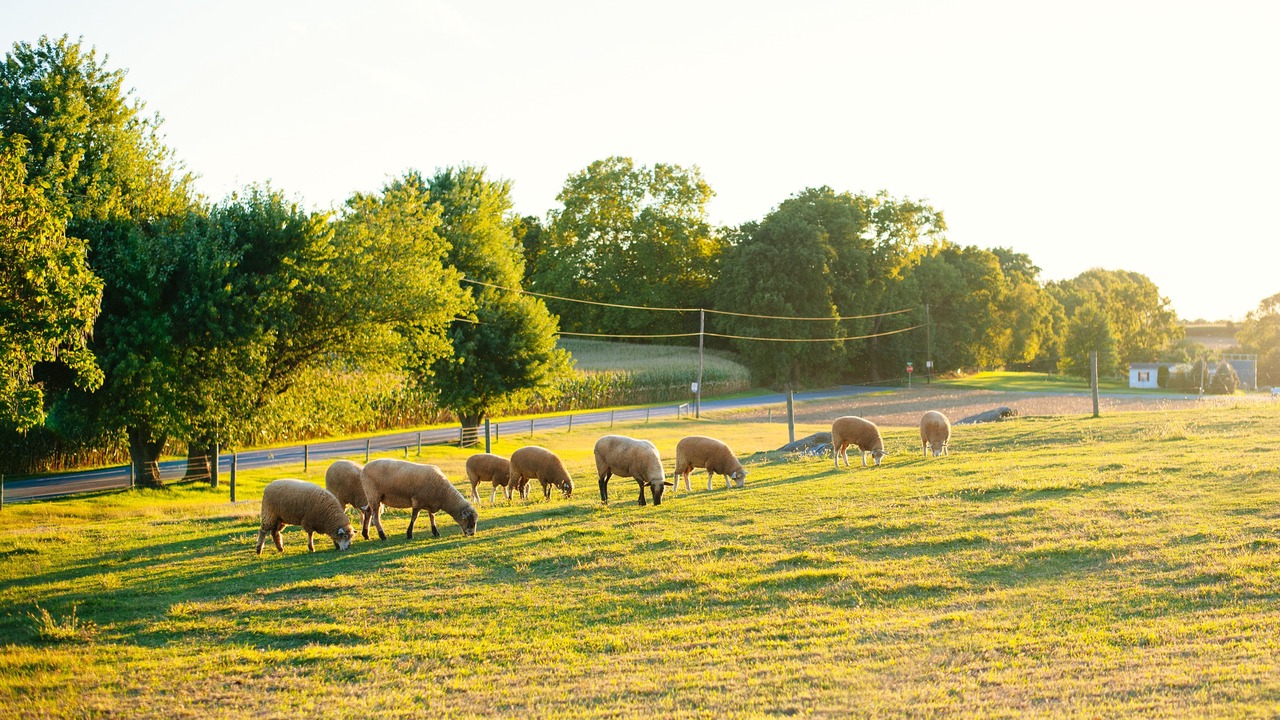 Photo of Outdoor in Mount Joy