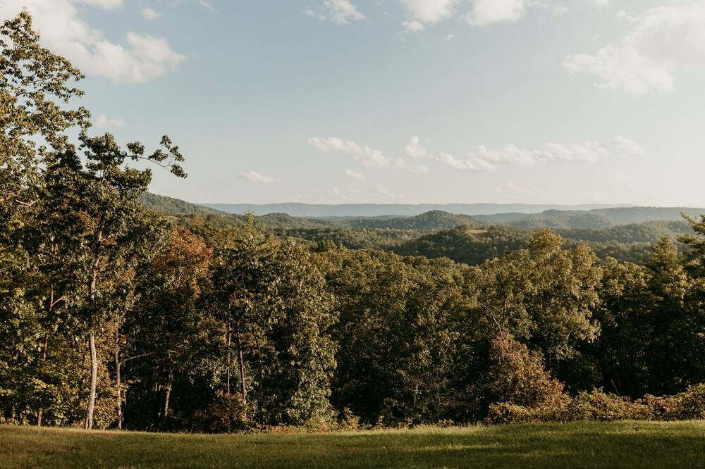 Photo of Others in Greenville