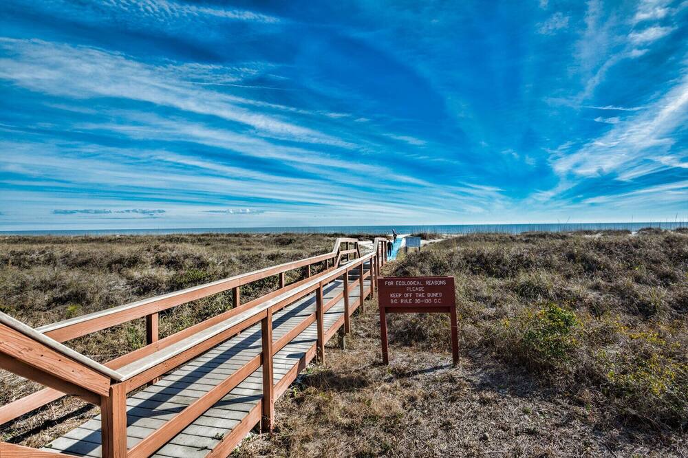 Photo of Outdoor in Folly Field