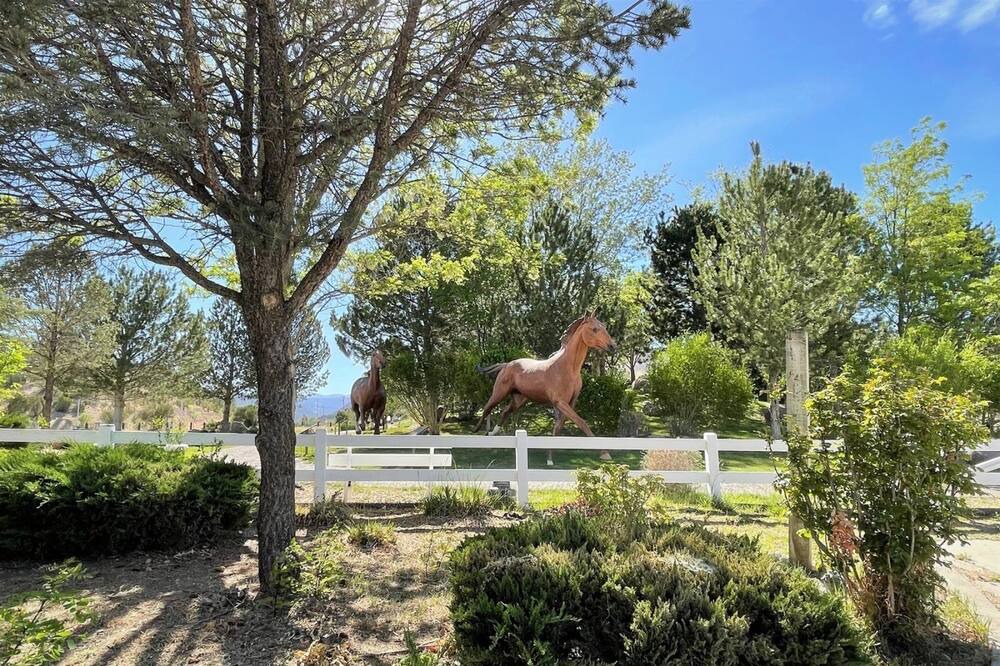 Photo of Outdoor in Ruidoso Downs