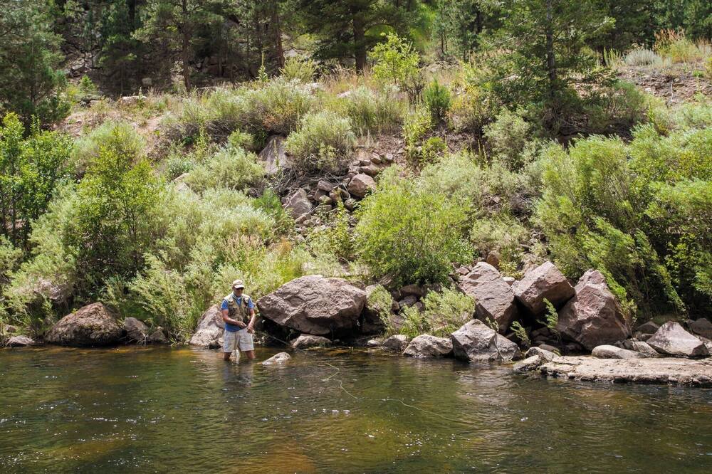 Photo of Others in Lyons