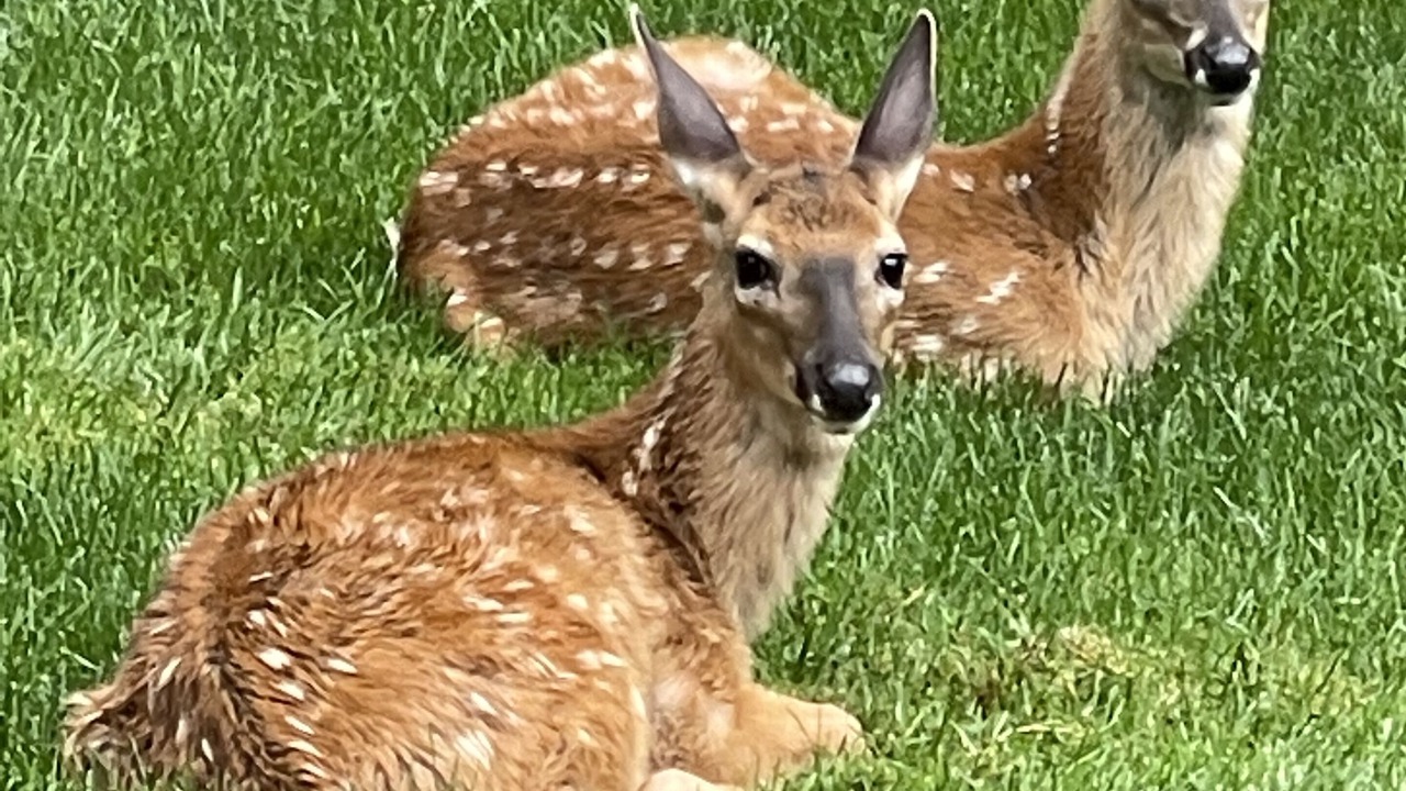 Photo of Outdoor in Treasure Lake