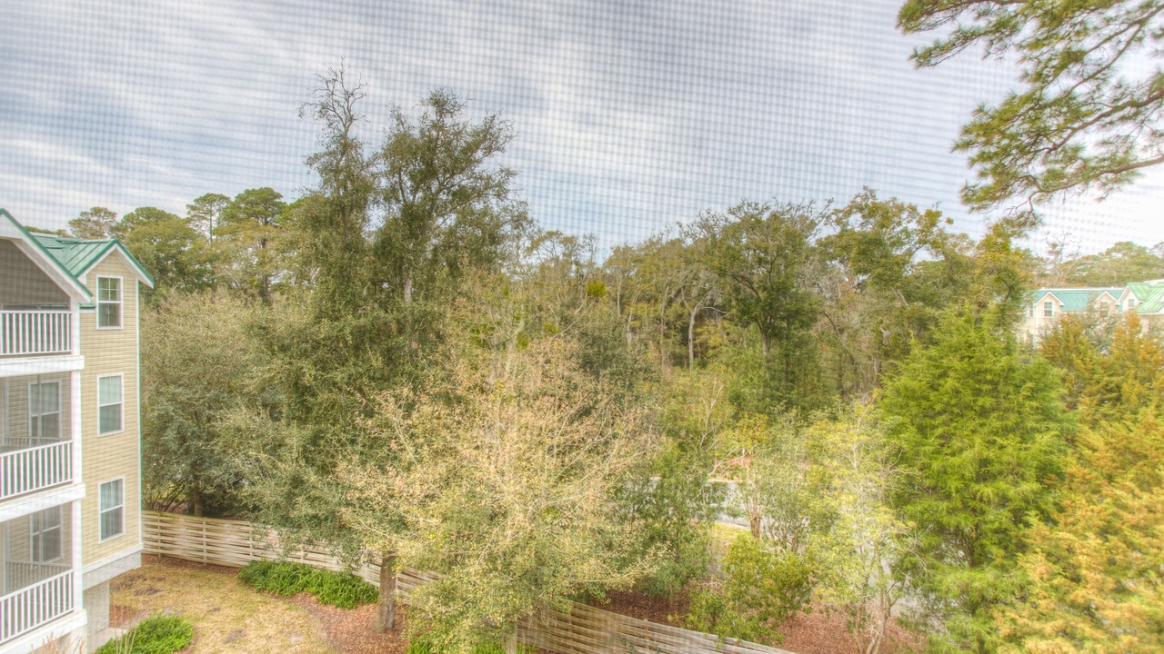 Photo of Outdoor in Saint Simons Heights