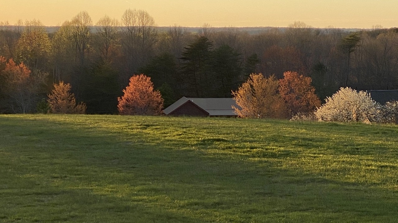 Photo of Others in Spencer