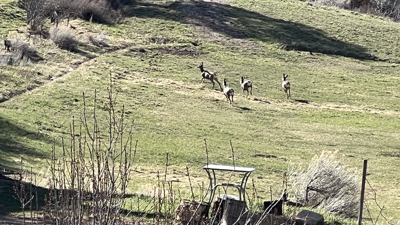 Photo of Outdoor in Durango