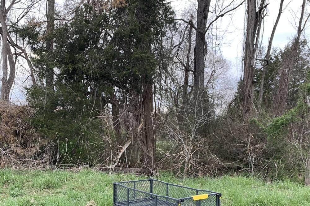 Photo of Others in Pisgah
