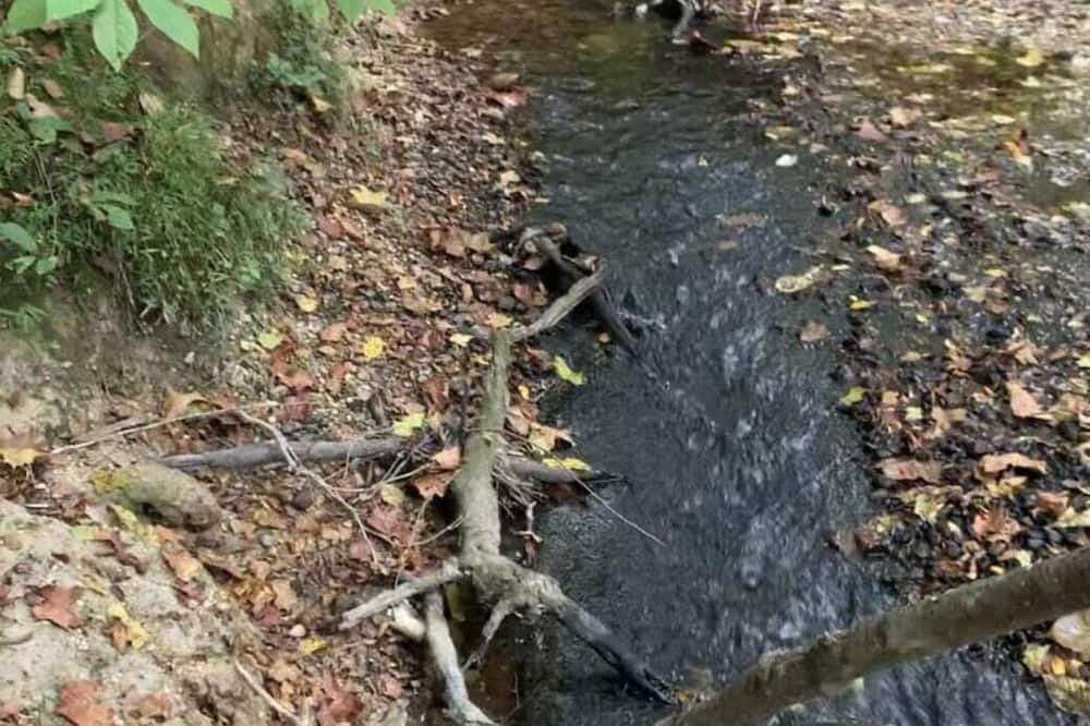 Photo of Others in Pisgah