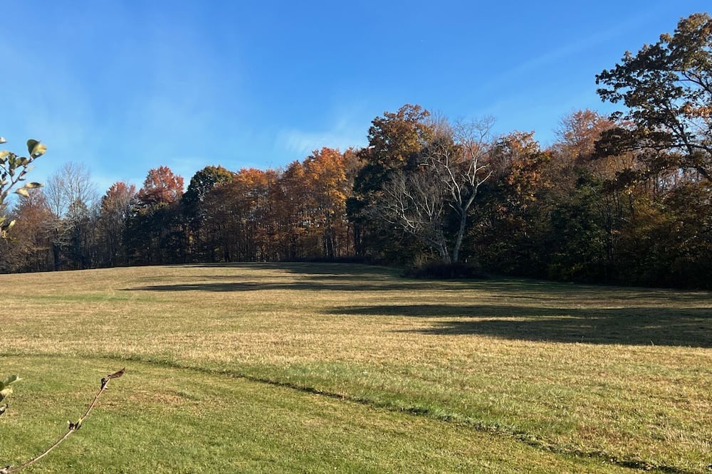 Photo of Others in Mingo