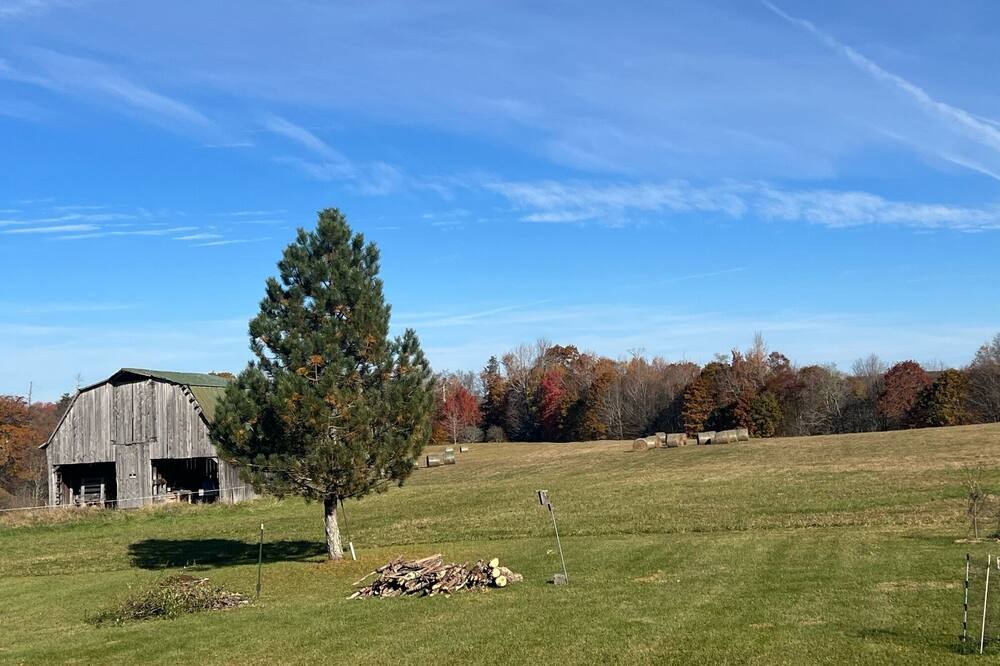 Photo of Others in Mingo
