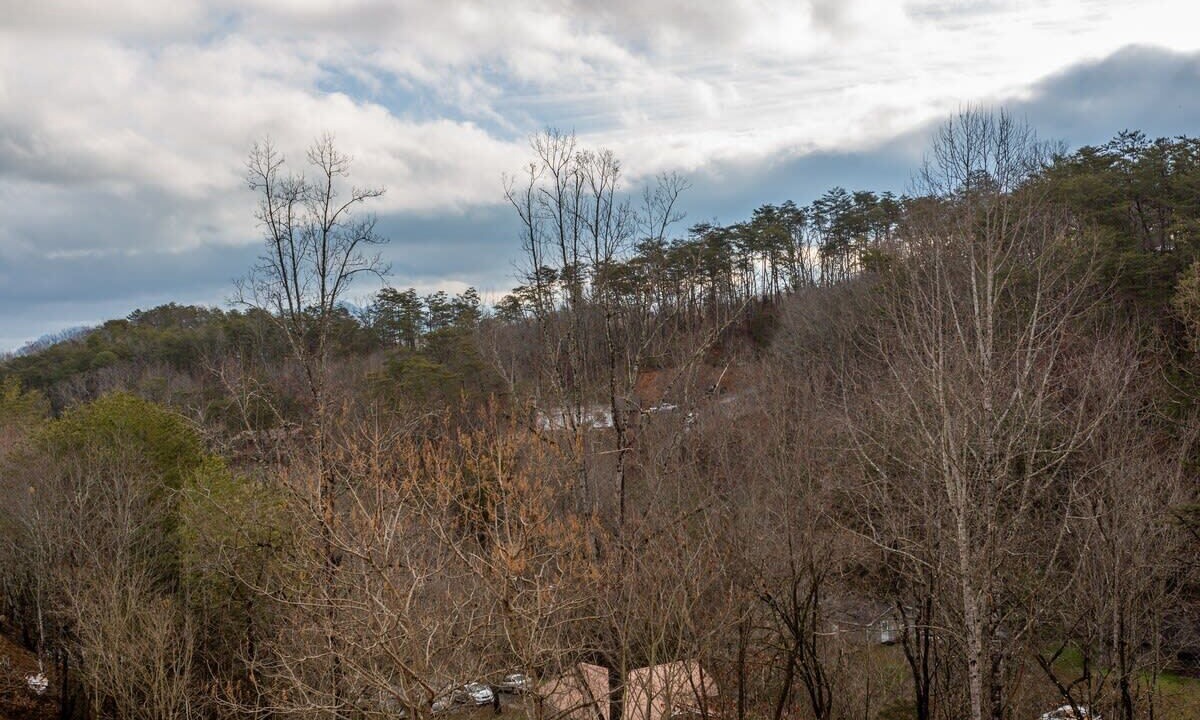 Photo of Others in Pigeon Forge