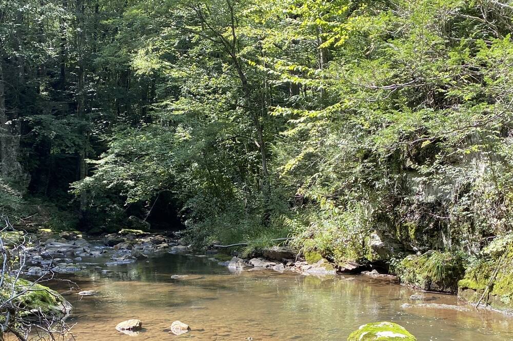 Photo of Outdoor in Harper