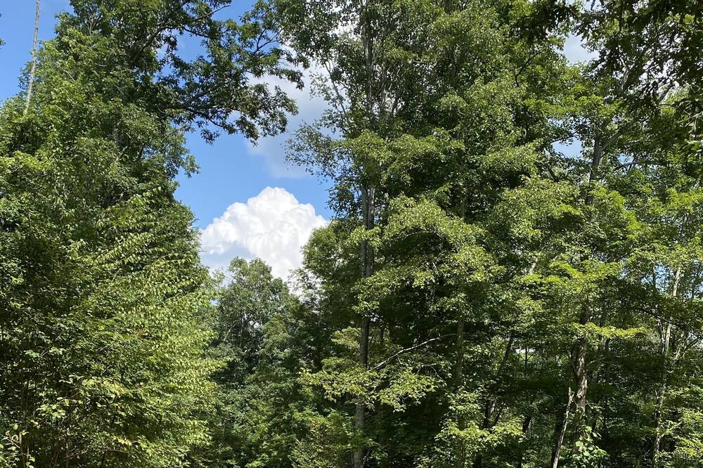 Photo of Outdoor in Harper