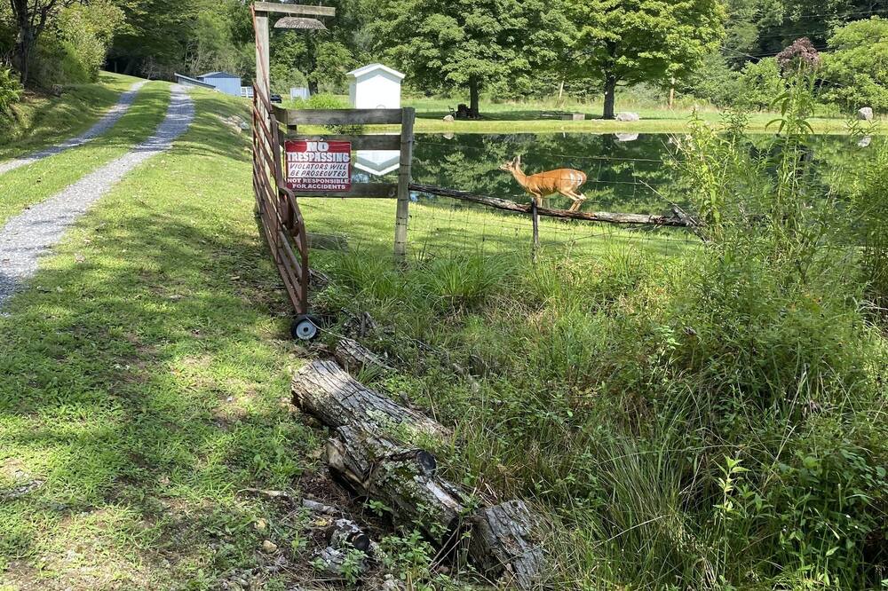 Photo of Outdoor in Harper