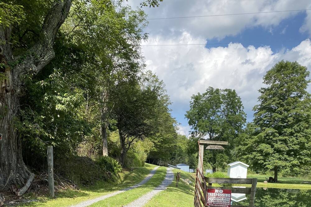 Photo of Outdoor in Harper